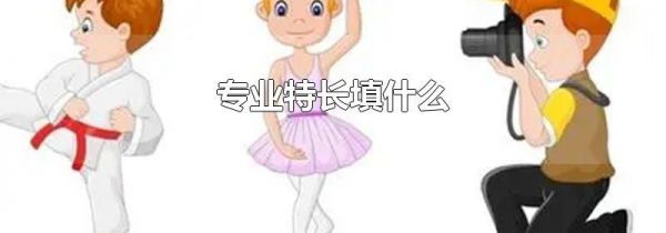 专业特长填什么