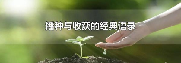播种与收获的经典语录