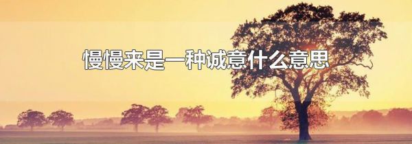 慢慢来是一种诚意什么意思