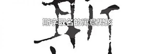 斯字取名的寓意男孩