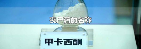 丧尸药的名称