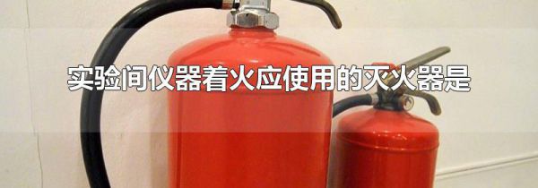 实验间仪器着火应使用的灭火器是