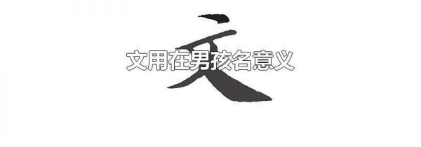 文用在男孩名意义