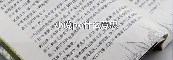 小说po什么意思