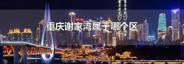 重庆谢家湾属于哪个区