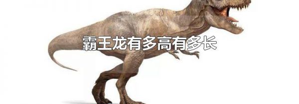 霸王龙有多高有多长