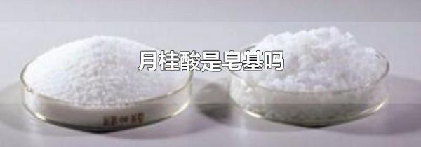 月桂酸是皂基吗