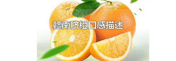 赣南脐橙口感描述