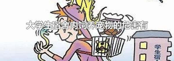 大学生宿舍内饲养宠物的危害有