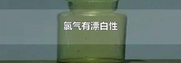 氯气有漂白性