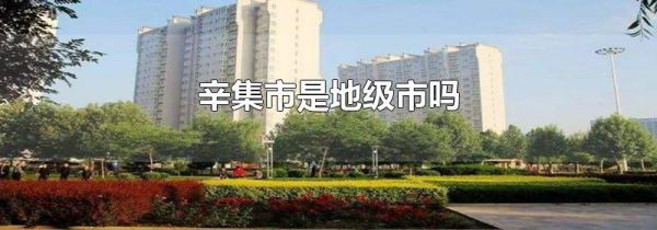 辛集市是地级市吗