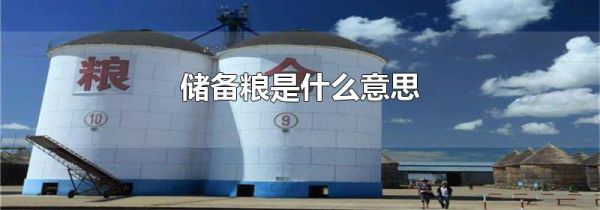 储备粮是什么意思