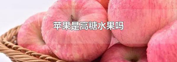 苹果是高糖水果吗