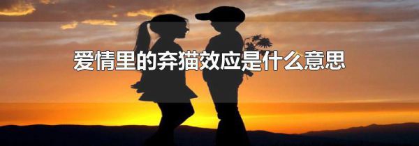 爱情里的弃猫效应是什么意思