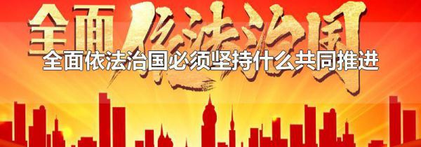 全面依法治国必须坚持什么共同推进