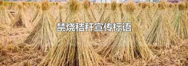 禁烧秸秆宣传标语