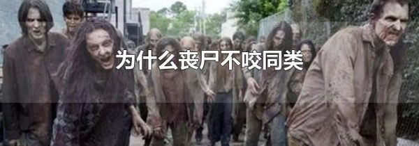 为什么丧尸不咬同类