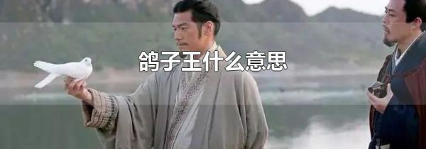 鸽子王什么意思