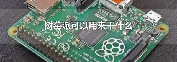 树莓派可以用来干什么
