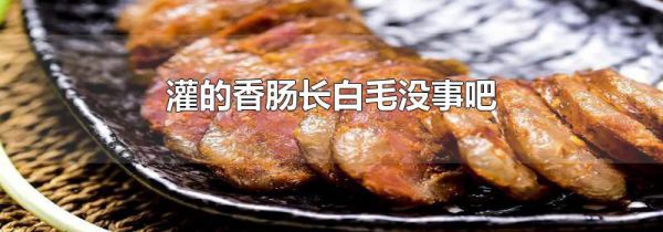 灌的香肠长白毛没事吧