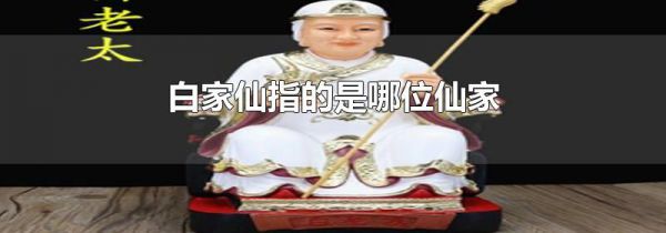 白家仙指的是哪位仙家