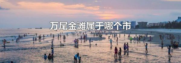 万尾金滩属于哪个市