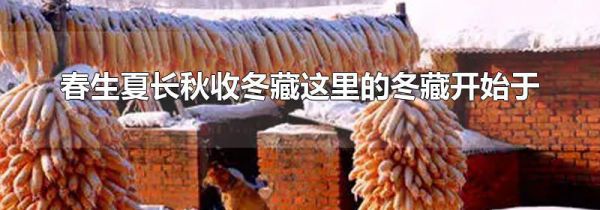 春生夏长秋收冬藏这里的冬藏开始于