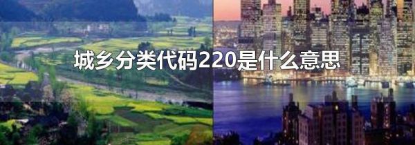 城乡分类代码220是什么意思