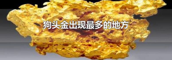 狗头金出现最多的地方