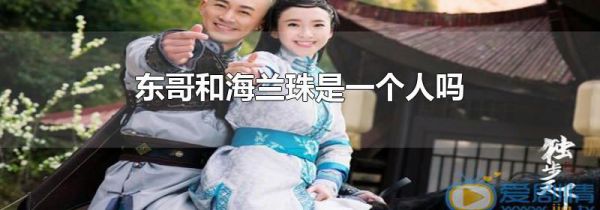 东哥和海兰珠是一个人吗