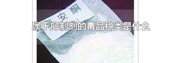 属于抑制剂的毒品种类是什么