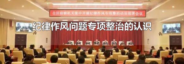 纪律作风问题专项整治的认识