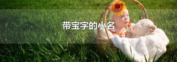 带宝字的小名