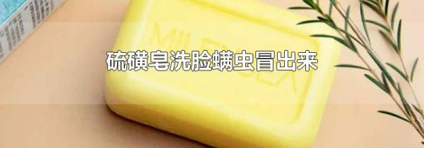 硫磺皂洗脸螨虫冒出来