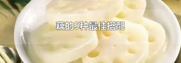 藕的5种最佳搭配