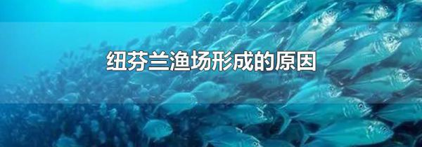 纽芬兰渔场形成的原因