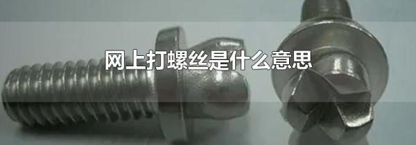 网上打螺丝是什么意思