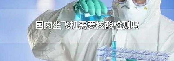 国内坐飞机需要核酸检测吗
