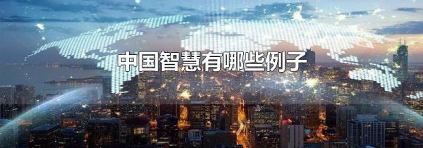 中国智慧有哪些例子