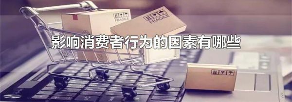 影响消费者行为的因素有哪些
