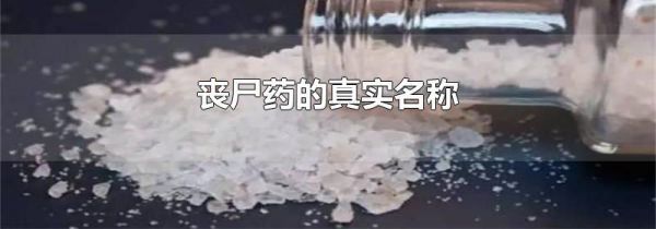 丧尸药的真实名称