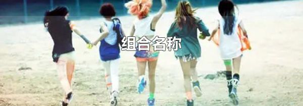 组合名称