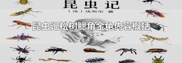 昆虫记松树鳃角金龟内容概括