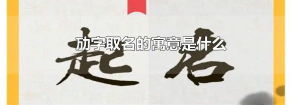 劢字取名的寓意是什么