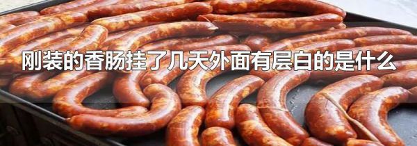 刚装的香肠挂了几天外面有层白的是什么