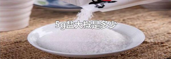 5g盐大概是多少