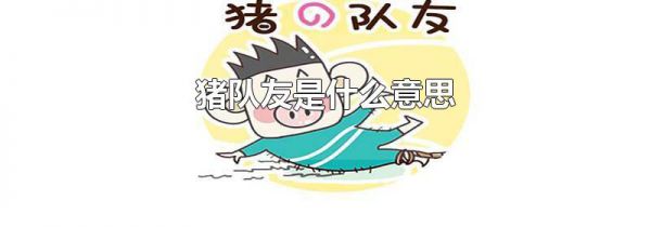 猪队友是什么意思