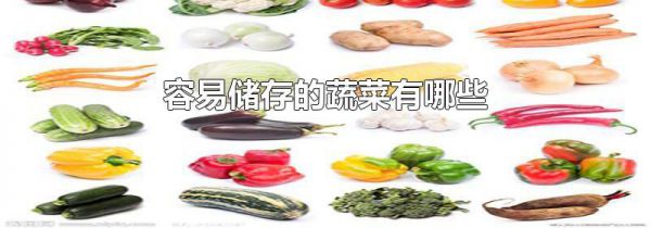 容易储存的蔬菜有哪些