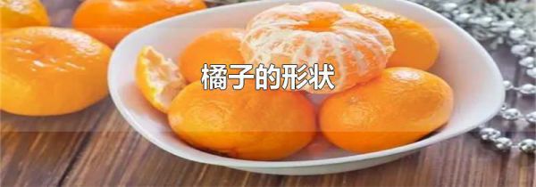 橘子的形状