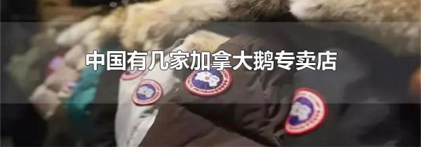 中国有几家加拿大鹅专卖店